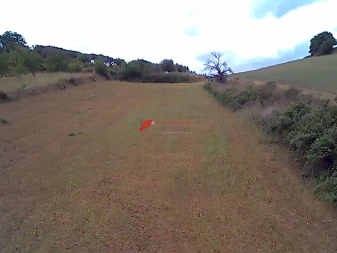 Terreno, Contrada Chianchitello, Grammichele